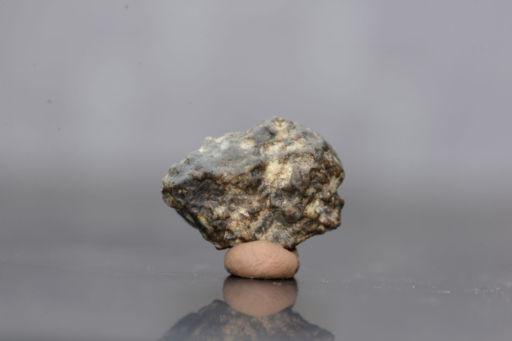 Fragment De Météorite Lunaire - Achondrite Feldspathique NWA Avec Certificat