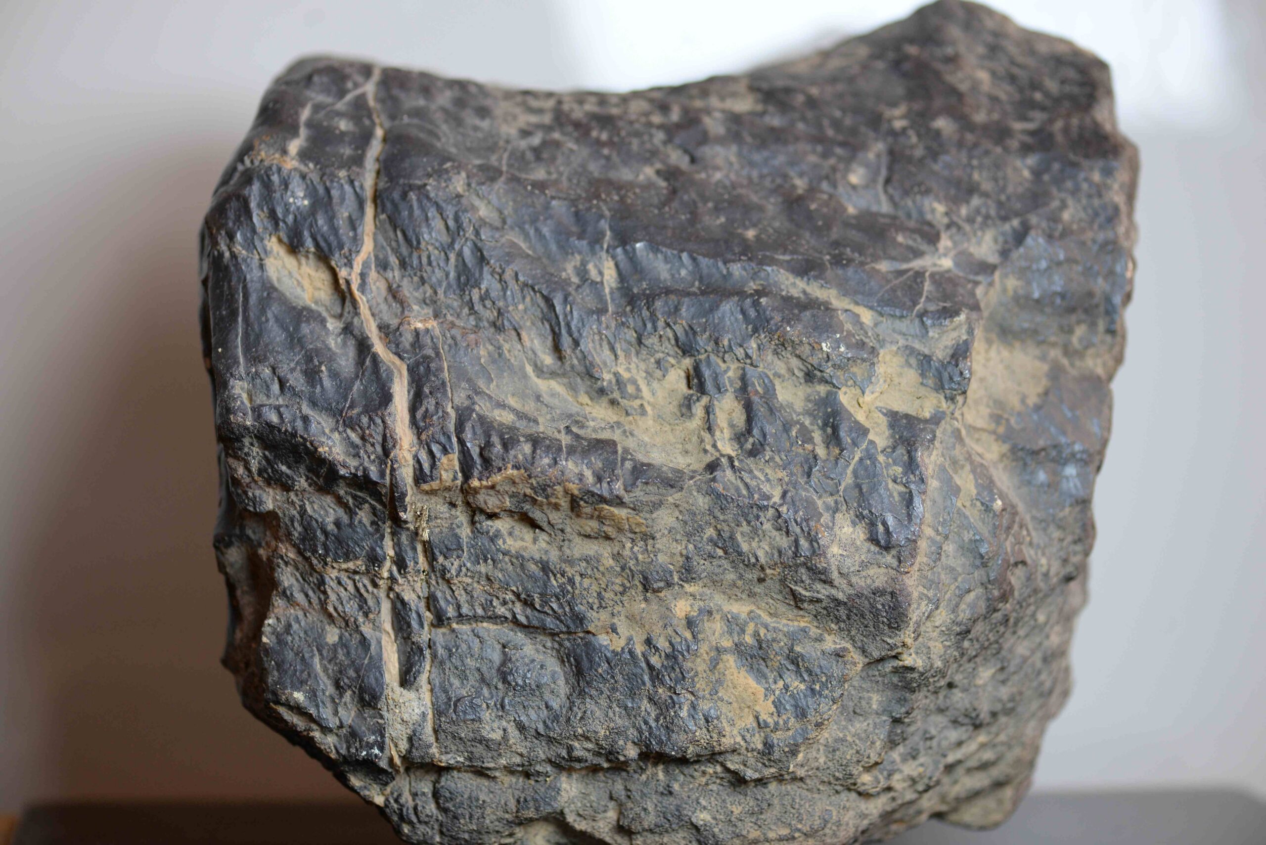 une meteorite type mésosidérites de 19 Kg ( reste 2 pieces de 19